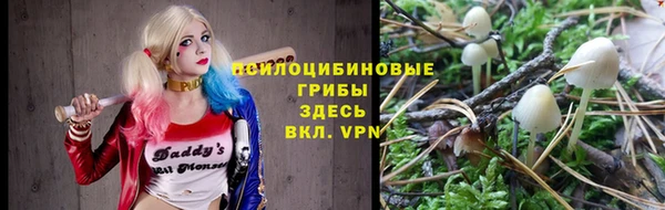 jwh Верея