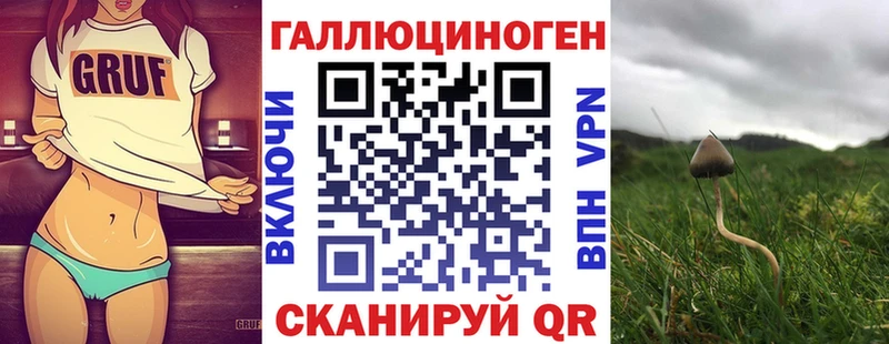 Галлюциногенные грибы Psilocybe  Владикавказ 